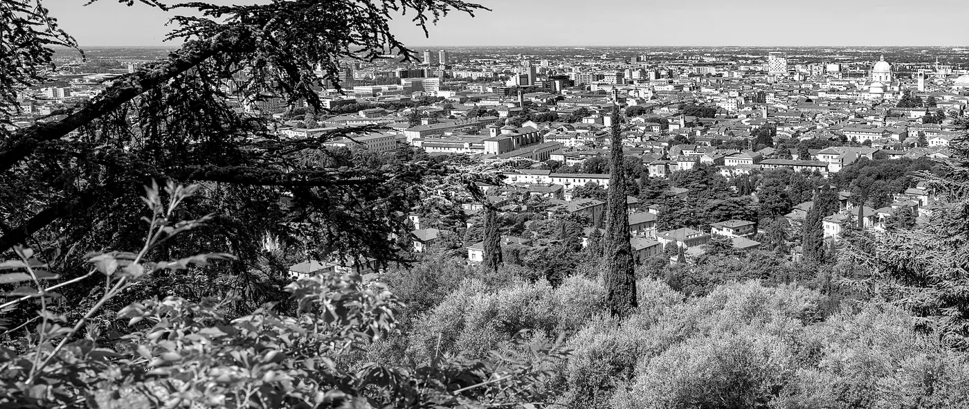 I tetti di Brescia visti dalla collina, tra cedri e cipressi
